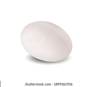 Duck Egg Isolated On White Background