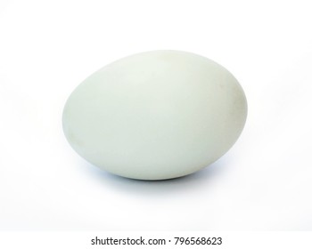 Duck Egg On White Background