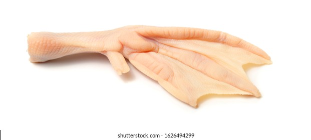 Duck Feet On White Background