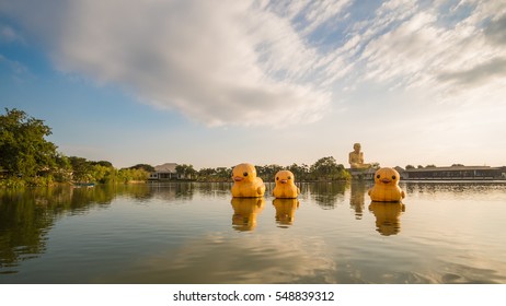 Duck Float