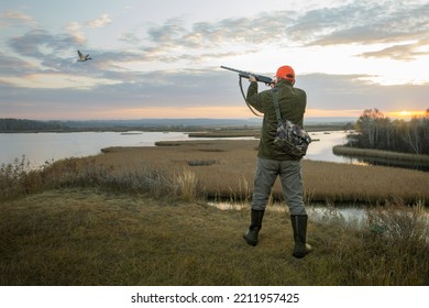 Duck Hunter.  waterfowl hunter shooting into flying duck during duck hunting at sunrise.