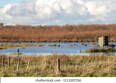 Duck Hunting Blind In Lake Wairarapa, New Zealand