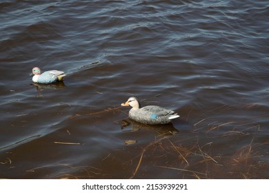 Duck Hunting. Hunting With Decoy Ducks On The Lake.