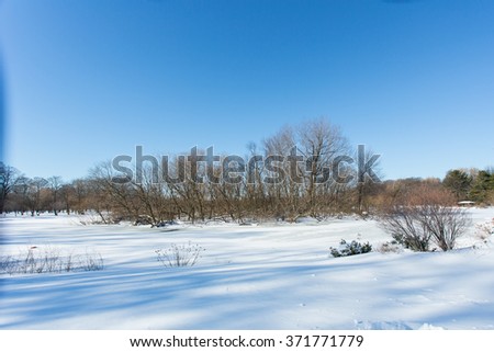Duck Island in winter