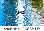 A duck in a lake with a colored reflection in the water.