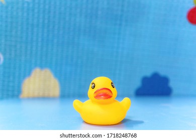 Duck rubber toy in blue background of shallow Dof with copy space