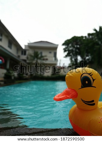 Duck tires in the pool