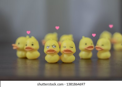 
Duck toys, jealous of others who have jealous love relationship,breakup, love triangle, jealousy