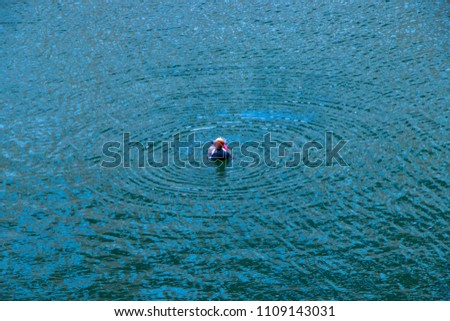 duck ice skating Water