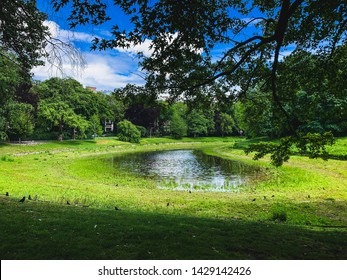 Ducks And Brids At Stadspark In Antwerp,  Green Park In Belgium