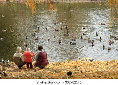 ducks, feed