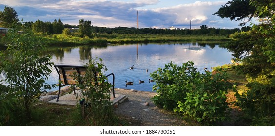 Ducks In Fielding Park In Sudbury, Ontario, Canada.