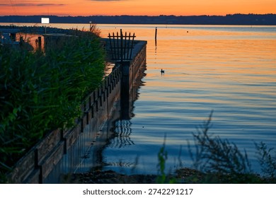Ducks float in a calm harbor during late sunset, with orange sky reflecting on the water. A grassy shoreline frames the scene, creating a quiet evening coastal mood.