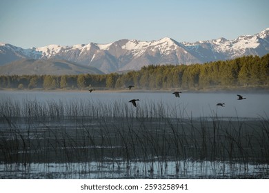 Patos volando sobre el paisaje épico de las montañas rocosas en Laguna La Zeta. Esquel, Chubut, Argentina