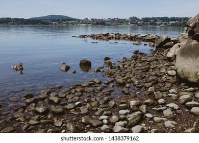 Ducks In The Hudson River From Beacon, NY