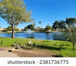 Ducks on a green grass next to blue water lake in Dos Lagos park recreation area, Glendale, Arizona