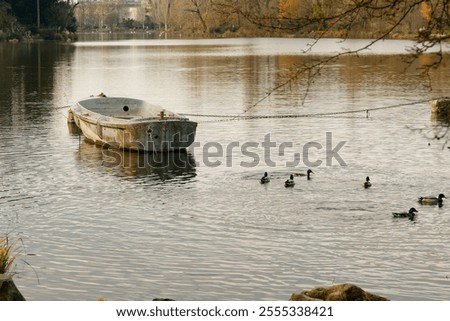 Ducks paddle peacefully through the tranquil waters of Bois de Vincennes while an abandoned boat rests on the shore, surrounded by nature's beauty in a quiet moment.