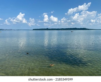 ducks swim on the chiemsee