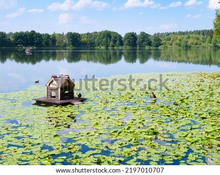 ducks and wooden floating duck house between water lilies in forest lake near Raifa Bogoroditsky Monastery, Russia on sunny summer day