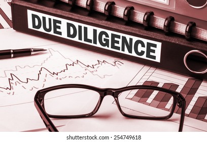 Due Diligence On Business Document File