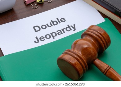 Due Process Representation: Double Jeopardy Document Display with Gavel