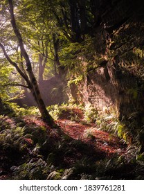 Dufton Ghyll, Eden Valley, Cumbria