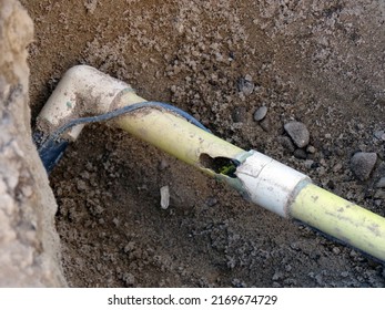 A Dug Out Broken Gas Line Damaged By Tree Roots