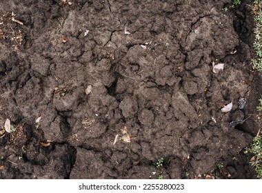 Dug up uneven soil, soil, earth, black earth close-up. Photography, nature, background, texture, top view. - Shutterstock ID 2255280023