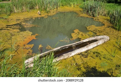 Dugout Canoe In Biskupin. Poland