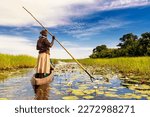 In the dugout canoe through the Okavango Delta, Botswana