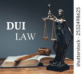 DUI and DWI lawyers specialize in defending clients charged with driving under the influence or while intoxicated. They provide expert legal representation to reduce or dismiss charges in court.