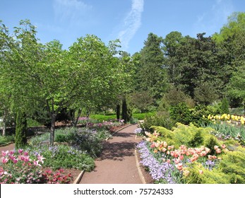 Duke Gardens, Durham, NC