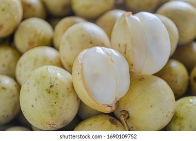 Duku Images, Stock Photos u0026 Vectors  Shutterstock