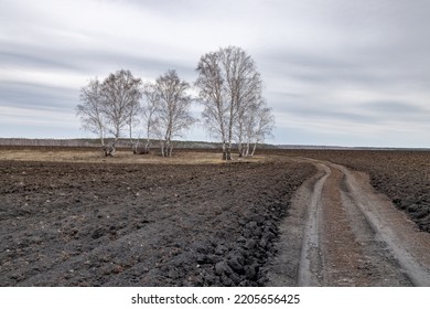 Dull Early Spring Landscape Road Countryside And Trees. Serenity And Melancholy