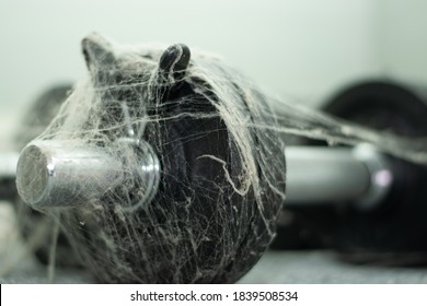 dumbbells covered in spider's web cobweb lack of exercise  - Shutterstock ID 1839508534