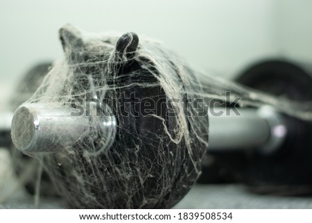 dumbbells covered in spider's web cobweb lack of exercise 