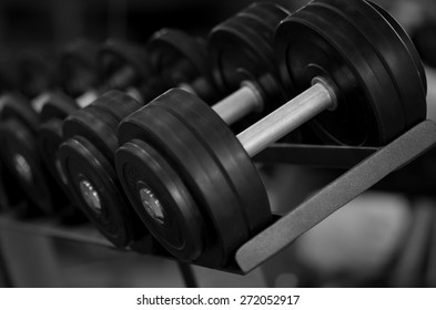 Dumbbells  Gym, Exercising, Weights, Health Club, Sport 