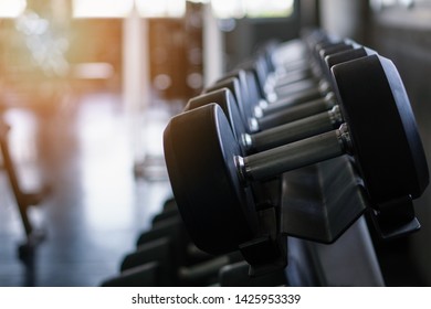 Dumbells On Rack At Gym