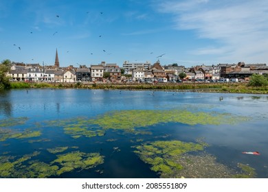 Dumfries, Scotland - July 24th 2021: Eutrophication and algal blooms on the River Nith during a summer drought, Dumfries, Scotland