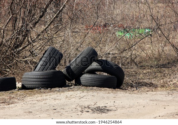 dump of old car tires near a\
bush