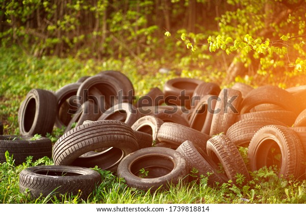 Dump of old\
used tires on fresh green grass in the forest. The problem of\
ecology and environmental pollution, processing of rubber waste\
from production and the automotive\
industry