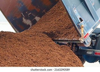 A Dump Truck Delivers A Large Load Of Mulch Or Wood Chips Use For Landscaping Top Ground Material And Accents.