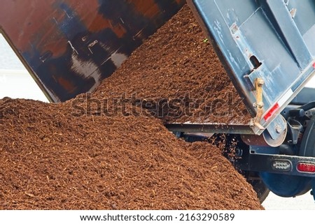 A dump truck delivers a large load of mulch or wood chips use for landscaping top ground material and accents.
