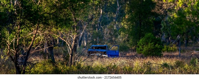 An Dumped Blue Car Lying As Trash In The Bush At Sapphire Wetlands Reserve Australia In Early Morning Light.