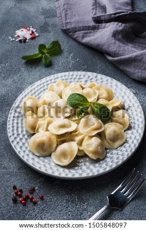 Dumplings stuffed with meat, ravioli, dumplings. Dumplings with stuffing. Russian cuisine. Copy space