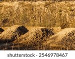 Dumps of soil at an old sand quarry, removal of waste rock