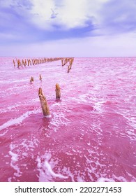 Dunaliella Salina Impart A Red, Pink Water In Mineral Lake With Dry