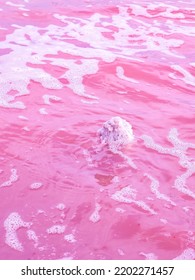 Dunaliella Salina Impart A Red, Pink Water In Mineral Lake With Dry