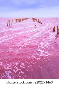 Dunaliella Salina Impart A Red, Pink Water In Mineral Lake With Dry