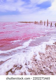 Dunaliella Salina Impart A Red, Pink Water In Mineral Lake With Dry